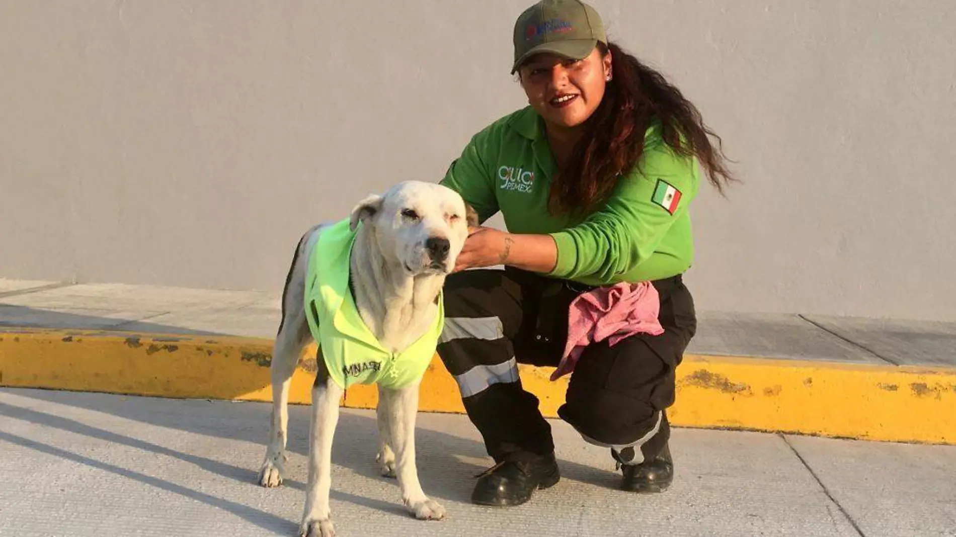 Malvin-perrito gasolinera